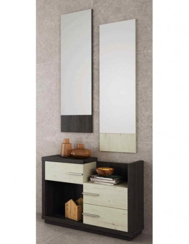 Entradita diseño moderno con formas...