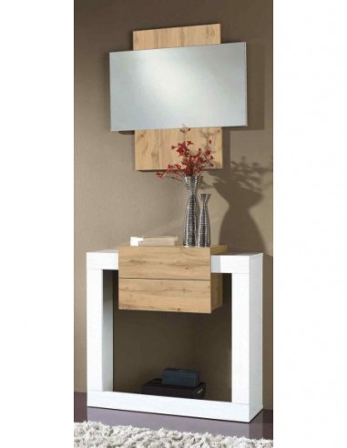 Entradita diseño moderno con formas...