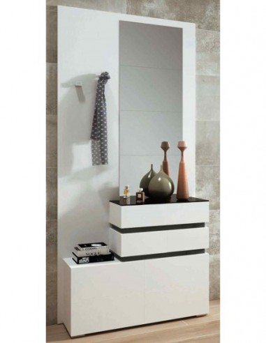 Entradita diseño moderno con formas...