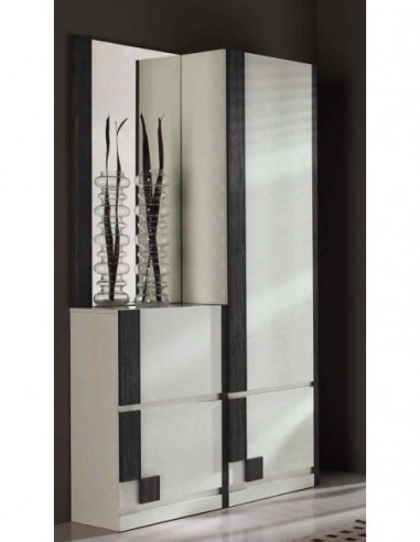 Entradita diseño moderno con formas...