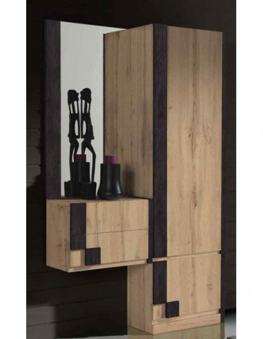 Entradita diseño moderno con formas...