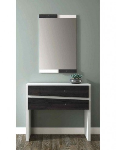 Entradita diseño moderno con formas...