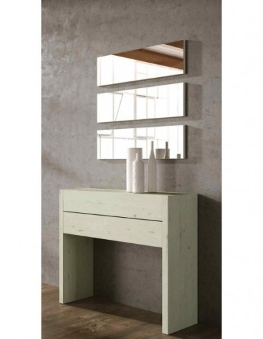 Entradita diseño moderno con formas...