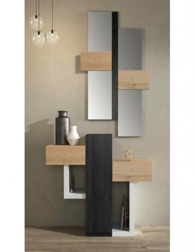 Entradita diseño moderno con formas...