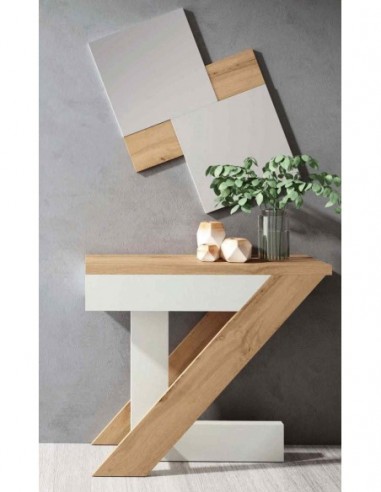 Entradita diseño moderno con formas...