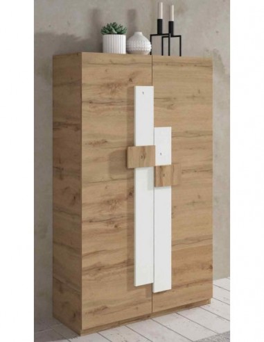 Zapatero diseño moderno diferentes...