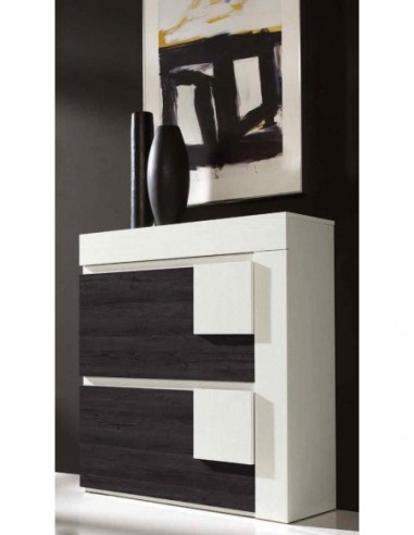 Zapatero diseño moderno diferentes...