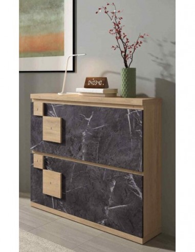 Zapatero diseño moderno diferentes...