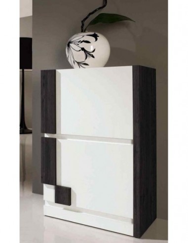 Zapatero diseño moderno diferentes...