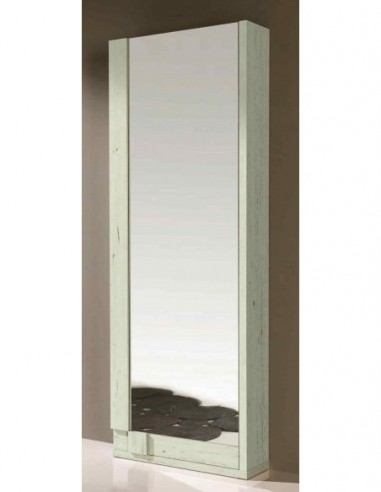 Zapatero diseño moderno diferentes...