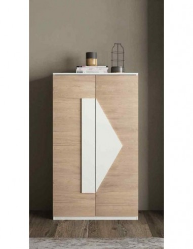 Zapatero diseño moderno diferentes...