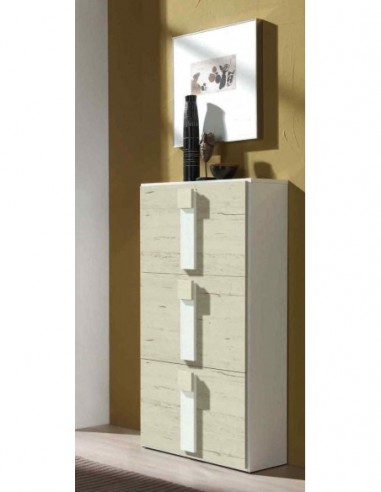 Zapatero diseño moderno diferentes...