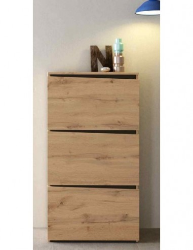 Zapatero diseño moderno diferentes...