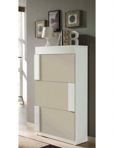 Zapatero diseño moderno diferentes...