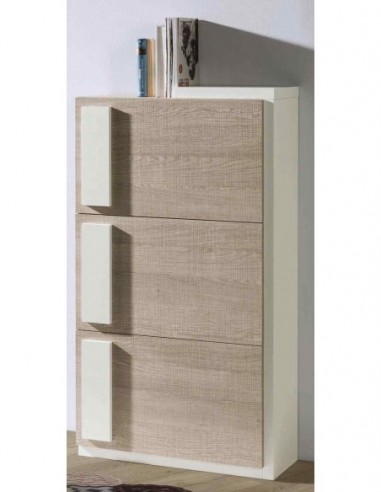 Zapatero diseño moderno diferentes...