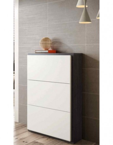 Zapatero diseño moderno diferentes...