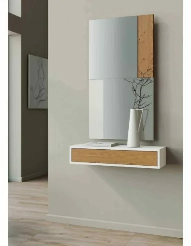 Entraditas diseño moderno con diferentes colores con espejos colgados diferentes diseños (1).1