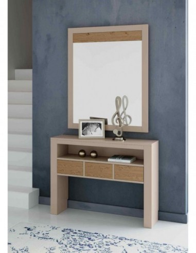 Entraditas diseño moderno con...