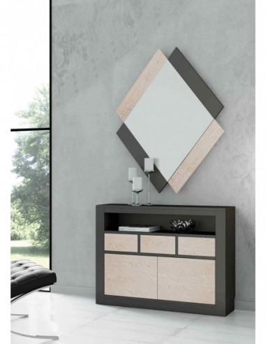 Entraditas diseño moderno con...