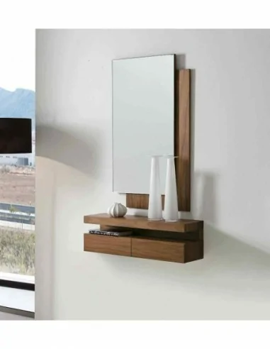 Entraditas diseño moderno con diferentes colores con espejos colgados diferentes diseños (19)