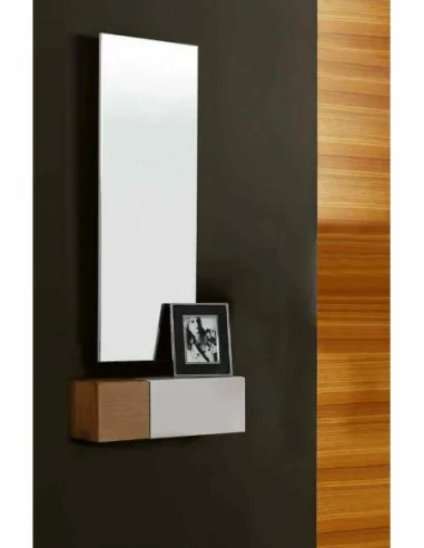 Entraditas diseño moderno con diferentes colores con espejos colgados diferentes diseños (25)
