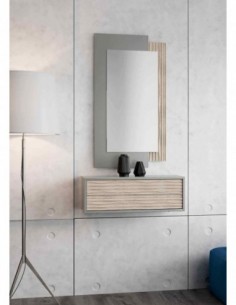 Entraditas diseño moderno...
