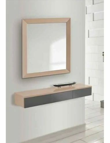 Entraditas diseño moderno con diferentes colores con espejos colgados diferentes diseños (6)