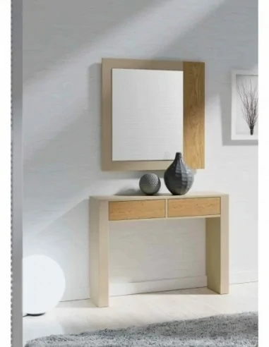 Entraditas diseño moderno con diferentes colores con espejos colgados diferentes diseños (9).1