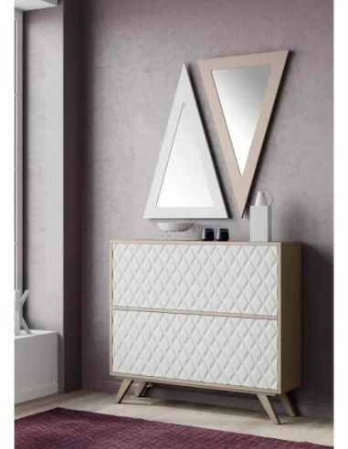 Mueble auxiliar de diseño moderno zapatero a pared con puerta y espejo trampones o puertas (4).1