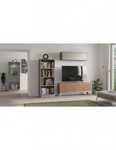 Muebles de salon diseño...