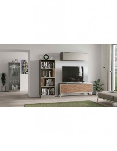 Muebles de salon diseño moderno con...