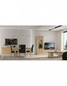 Muebles de salon diseño...
