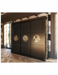 Armario puertas correderas...