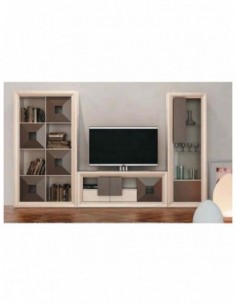 Conjunto de salon moderno...