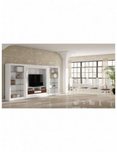 Conjunto de salon moderno...