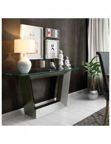 Entradita diseño moderno con...