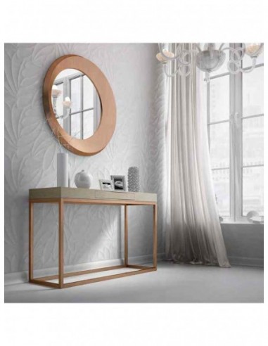 Entradita diseño moderno con...