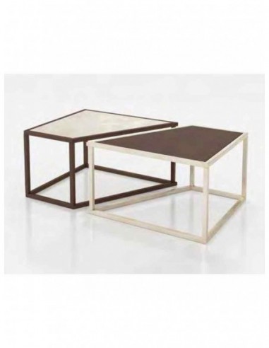 Mesa de centro elegante para salones...