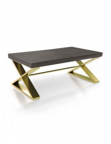 Mesa de centro elegante para salones...