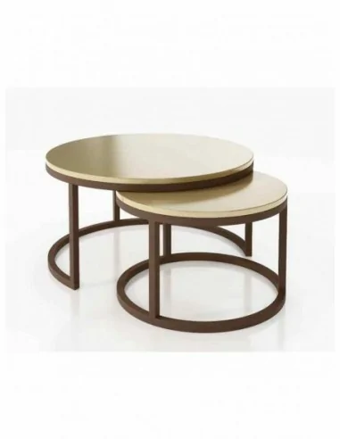 Mesa de centro elegante para salones mesas bajas redondas o rectangulares a elegir (77)