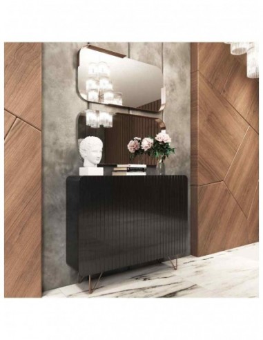 Zapateros modernos con puertas a... Zapateros modernos con puertas a...