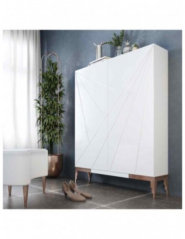 Zapateros modernos con puertas a... Zapateros modernos con puertas a...