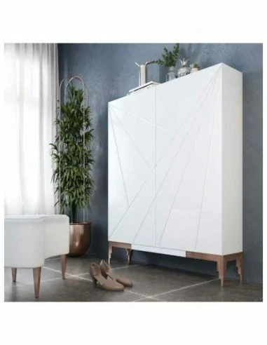 Zapateros modernos con puertas a medida en diferentes tonos de color alta calidad de mobiliario (42)