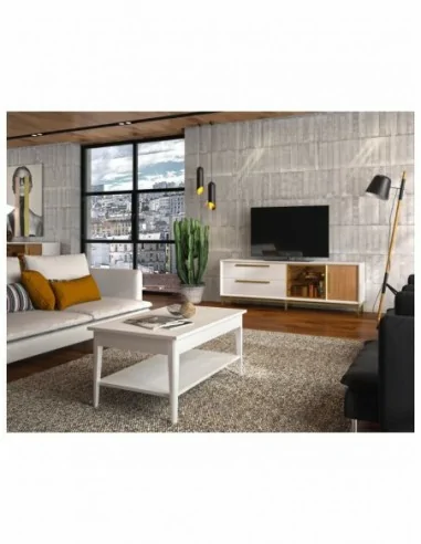 mueble de salon diseño nordico madera maciza diferentes colores barniz o laca vitrina bajo salon (11)