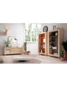 Salon de madera diseño...