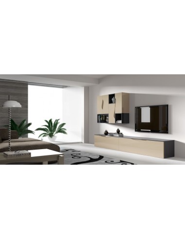 Composicion de salon completa modular...