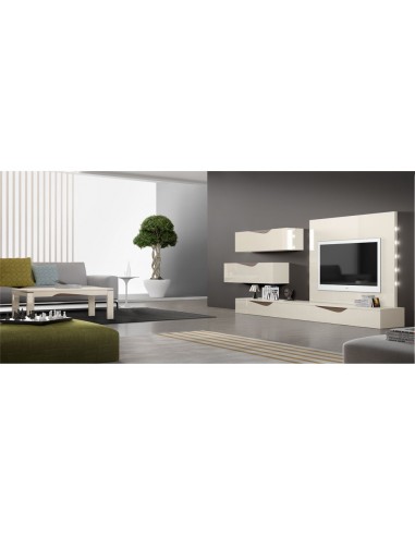 Composicion de salon completa modular...