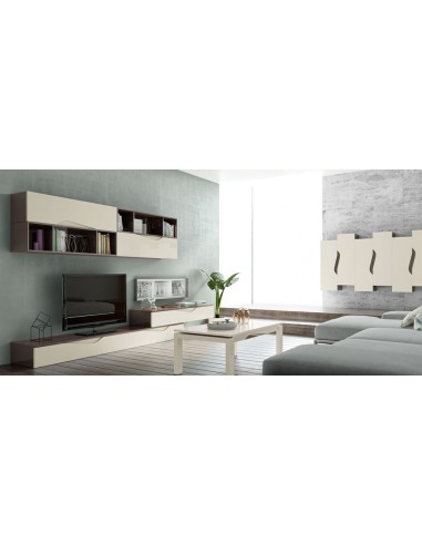 Composicion de salon completa modular...