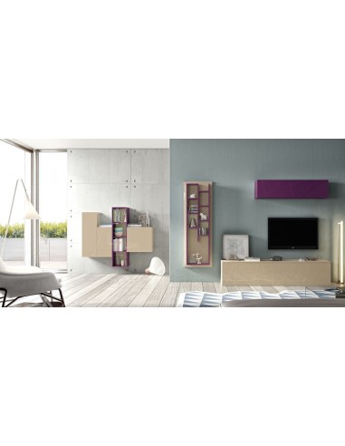 Composicion de salon completa modular...