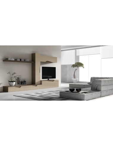 Composicion de salon completa modular...